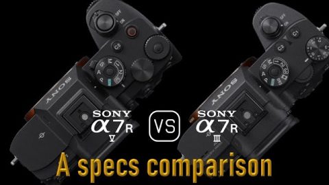 Sony A7R V vs. Sony A7R III A Comparison of Specifications