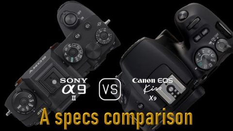 Sony A9 II vs. Canon EOS Kiss X9 A Comparison of Specifications